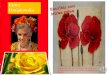 Elena Poniatowska: Escribir con letras rojas