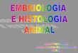 Tejidos animales y embriología 1º bach