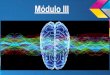 Neurociencias y educación   modulo III
