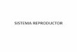 Powerpoint sistema reproductor