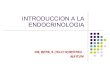 Introduccion A La Endocrinologia