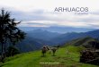 Arhuacos (por: carlitosrangel)