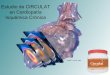 Estudio de CIRCULAT en Cardiopatía Isquémica Crónica (20 Pac)
