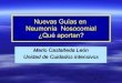 Neumonia nosocomial lobitoferoz13