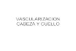 Medicina   Anatomia Vascularizacion Cabeza Y Cuello(2)