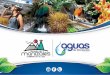Presentación informe de Gestion 2014 aguas de Manizales