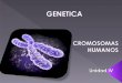 4.  cromosomas