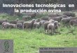 Innovaciones tecnológicas en la producción ovina