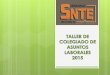 Taller de Laborales 2015 - SNTE 32