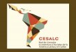 CESALC Red de Consejos Económicos y Sociales de la América Latina y el Caribe - Taller regional para identificación de mejores prácticas en diálogo social institucionalizado en