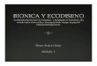 Presentacion: Bionica y Ecodiseno