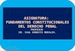 Generalidades del derecho penal constitucional. primera ponencia
