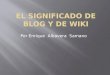 El significado de blog y de wiki