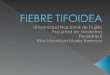 Fiebre tifoidea