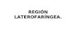 Topografica region laterofaringea