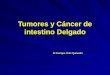 Tumores y c%c3%a1ncer_de_intestino_delgado[2]