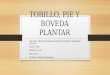 Tobillo, pie y boveda plantar (1)