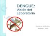 Van der wekken mariela  dengue