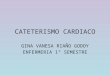 Cateterismo cardiaco 2