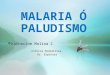 Malaria ó paludismo
