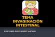 Invaginacion intestinal daniel pinito 2015