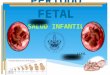 PERIODO FETAL (fetal growth)