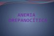 Anemia drepanocitica