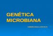 Genetica microbiana