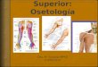 Miembro superior: Osteología