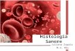 Histología sangre