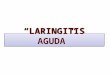 Expo laringitis aguda