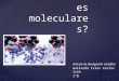 Enfermedades Moleculares