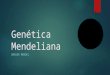 Genética mendeliana 1