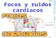 FisioL 2 Focos y  ruidos cardiacos, Estenosis, Insuficiencia, soplos
