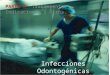 Infecciones odontog©nicas 2