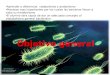 metabvolismo bacteriano