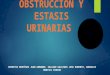 Obstrucción y estasis urinaria