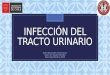 Infección del tracto urinario Pediatría