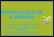 Inmunoglobulina humana-ULISES TERESMOEX