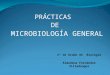 Practicas microbiologia general