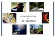 BIODIVERSIDAD EN COLOMBIA