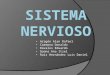 Sistema Nervioso (generalidades e histología)