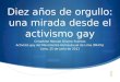 Diez años de orgullo. una mirada desde el activismo gay