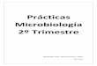 Prácticas microbiología 2º trimestre