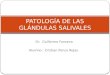Patología de las glándulas salivales