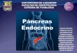 Fisiologia del Pancreas