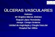 Ulceras vasculares