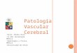 Patolog­as vasculares