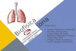 Biosifica respiratoria