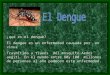 3ª "D" Dengue